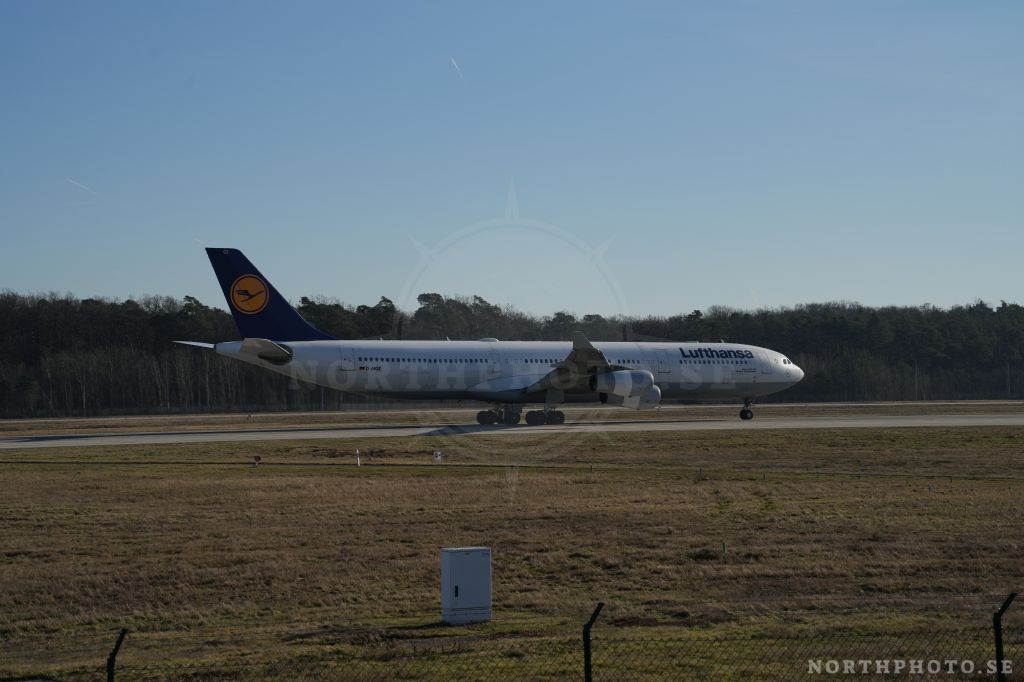 - Airbus, A340-313, 0347, D-AIGZ, FRA, LufthansaAirbus, A340-313, 0347, D-AIGZ, FRA, Lufthansa Airbus  A340-313  0347  D-AIGZ  FRA  Lufthansa 