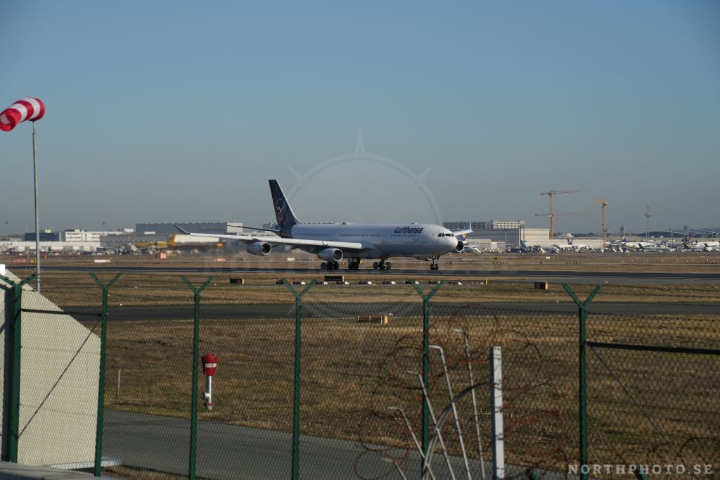 - Airbus, A340-313, 0447, D-AIFF, FRA, LufthansaAirbus, A340-313, 0447, D-AIFF, FRA, Lufthansa Airbus  A340-313  0447  D-AIFF  FRA  Lufthansa 
