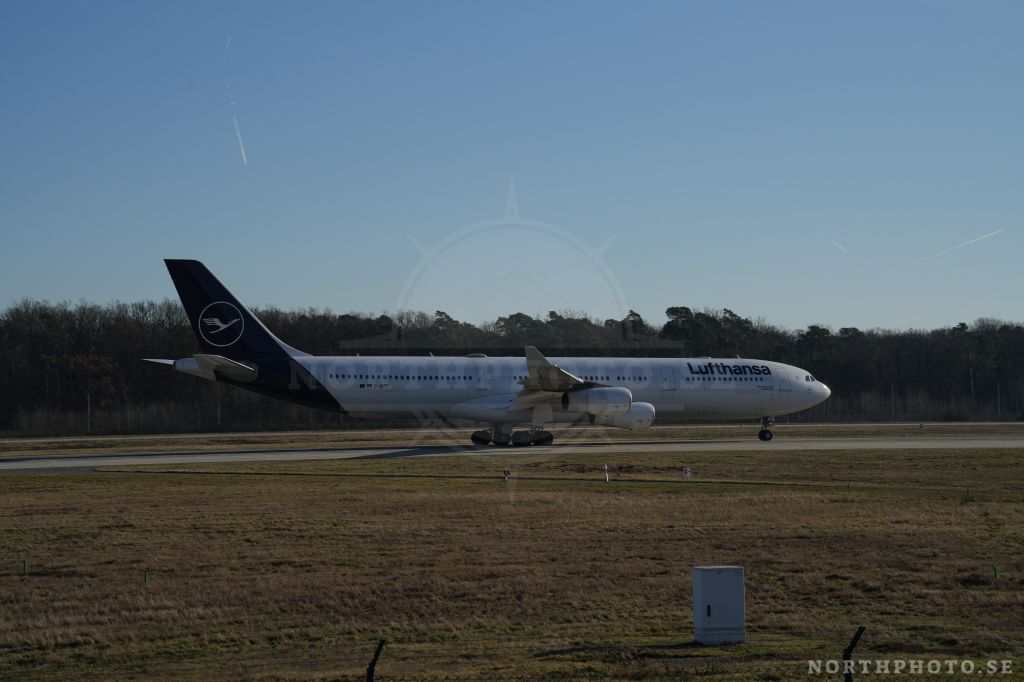 - Airbus, A340-313, 0447, D-AIFF, FRA, LufthansaAirbus, A340-313, 0447, D-AIFF, FRA, Lufthansa  Lufthansa Airbus  A340-313  0447  D-AIFF  FRA 
