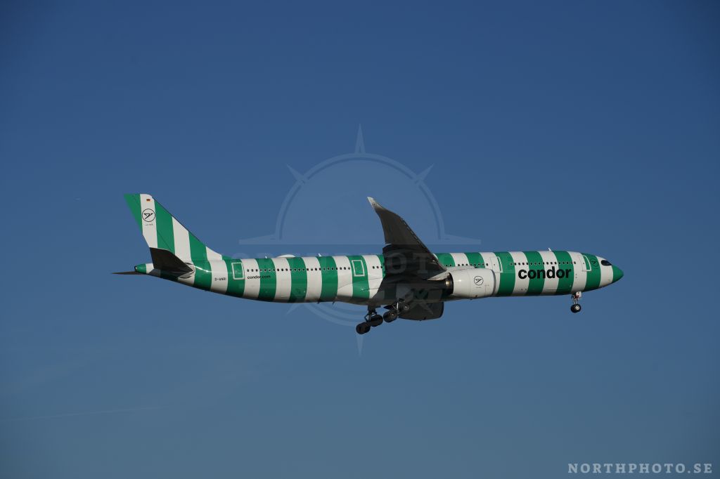 - Airbus, A330-941, 2026, D-ANRI, FRA, CondorAirbus, A330-941, 2026, D-ANRI, FRA, Condor  A330-941  2026  D-ANRI  FRA  Condor Airbus 