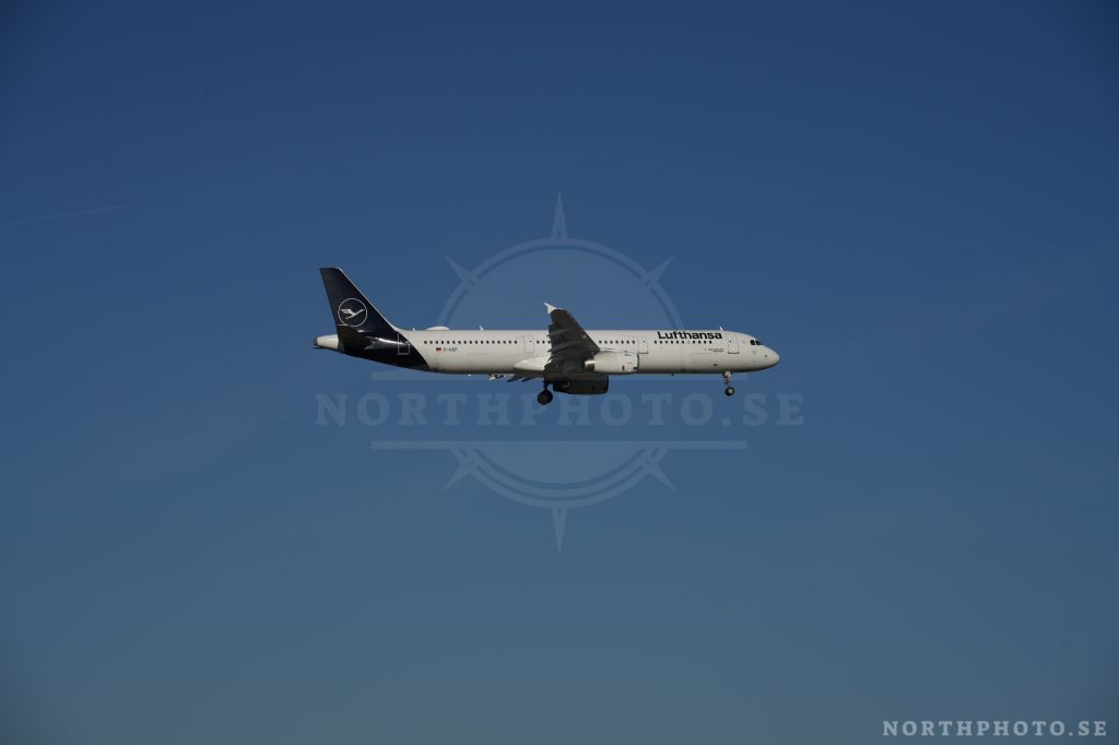 - Airbus, A321-231, 03864, D-AISP, FRA, LufthansaAirbus, A321-231, 03864, D-AISP, FRA, Lufthansa  03864  D-AISP  FRA  Lufthansa Airbus A321-231 